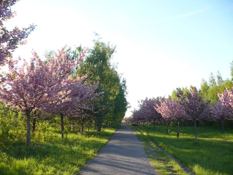 Mauerradweg