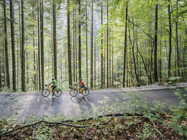 Drauradweg