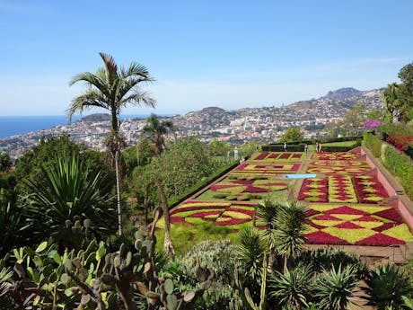Madeira Funchal Botanische tuin