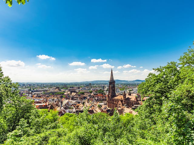 Zwarte Woud Freiburg