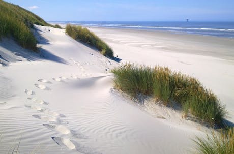 Terschelling strand