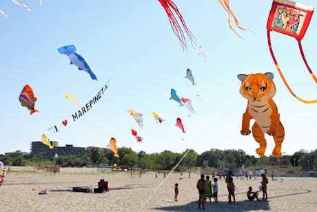 Camping Mare e Pineta vliegers