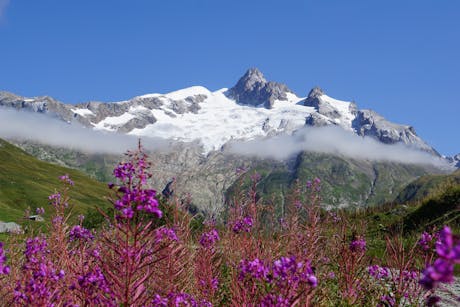 Mont Blanc West kleur