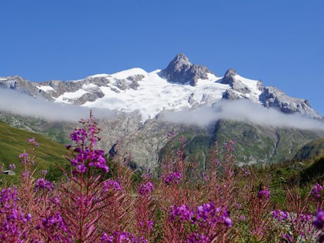 Mont Blanc West kleur
