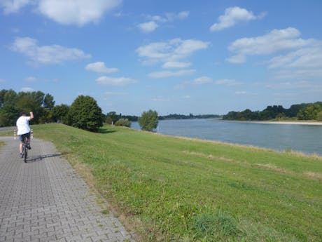 Rijn