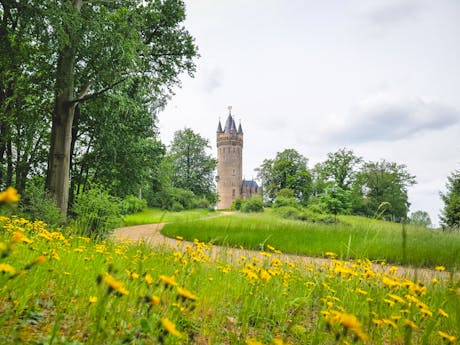 Bablesberg Potsdam