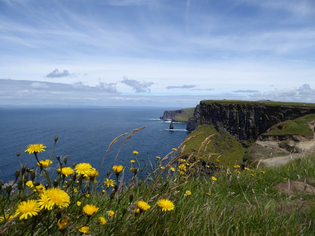 Cliffs of Moher - Ierland