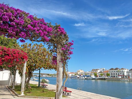 Algarve - Portugal - tavira