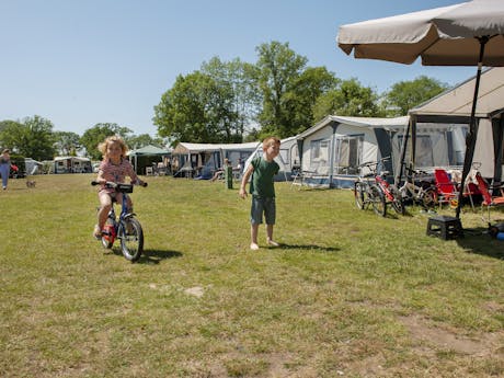Camping Goorzicht - campingveld