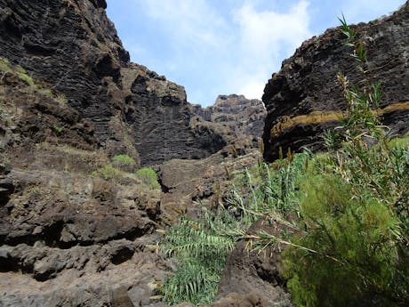 Tenerife Masca-kloof