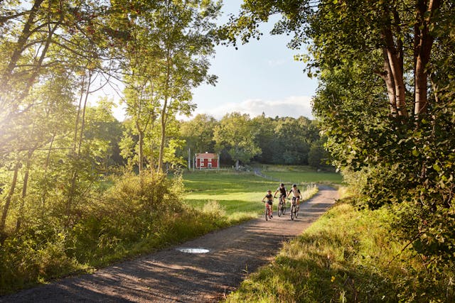 Zweden fietsvakantie -patrik_svedberg-biking_