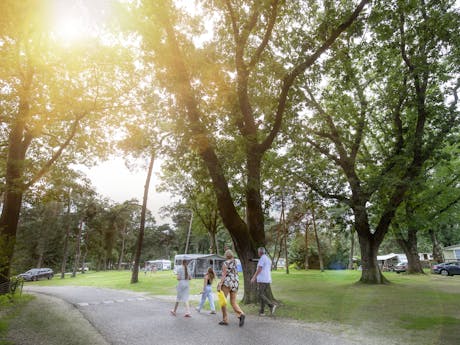 Camping de Goudsberg