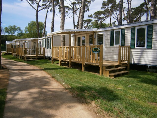 Sacaravan Mango - Valldaro