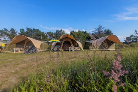 Camping Duinoord Ameland duynlodges