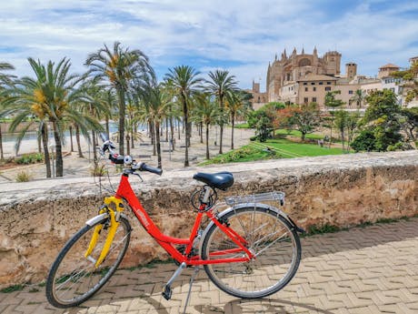 Spanje - Mallorca - Palma kathedraal