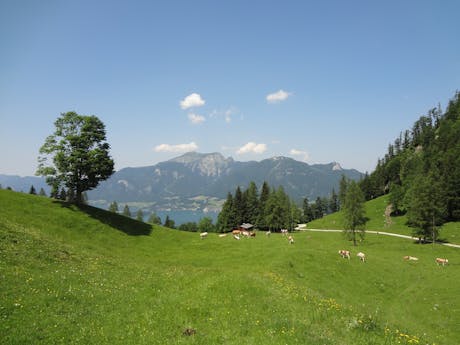 Salzkammergut en Ausseerland - wolfgang