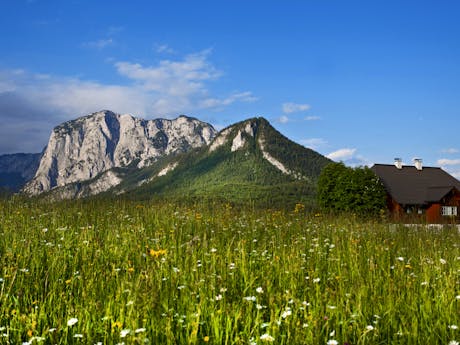 Salzkammergut en Ausseerland - bergen