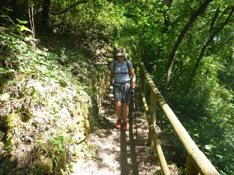 8-daagse wandelvakantie Rheinsteig