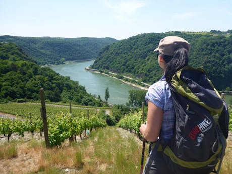 Rheinsteig - Rijn uitzicht wijngaarden