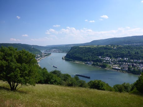 Rheinsteig - Rijn uitzicht
