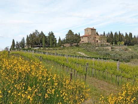 Toscane - landschap