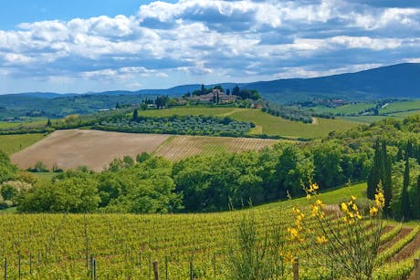 Toscane - veld uitzicht