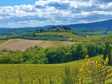 Toscane - veld uitzicht