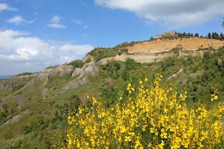 Toscane - bloemen uitzicht