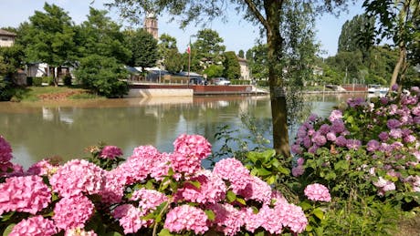 Gardameer naar Venetië - blos bloemen