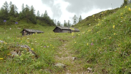Panoramawandelen in Pinzgau