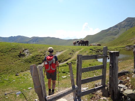 Panoramawandelen in Pinzgau - hoehenweg