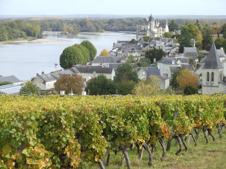Loire - Montsoreau - Frankrijk