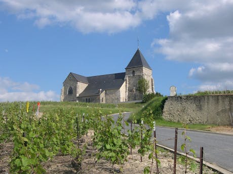 Champagne - Courcourt - Frankrijk