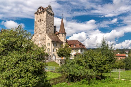 Aare - Aarwangen Schloss - Zwitserland