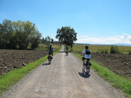 Via Francigena - Siena