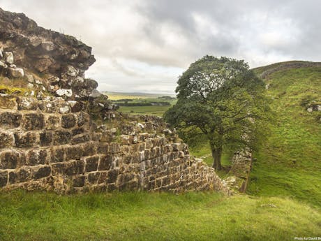 Hadrian's Wall Engeland fietsvakantie