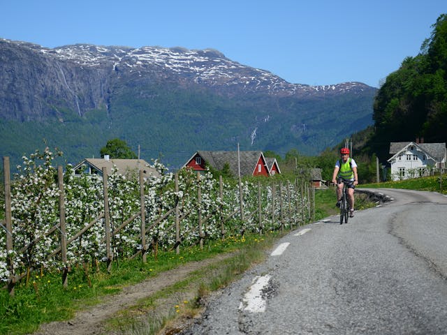 Noorwegen Hardanger fjord fietser