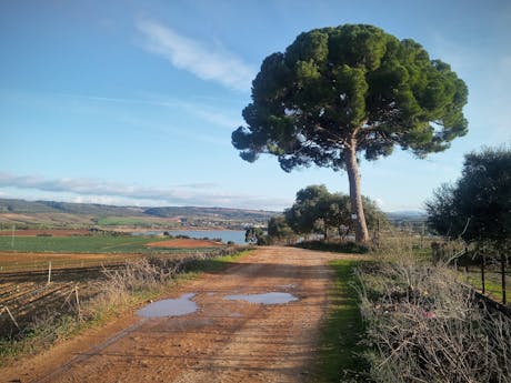 Andalusië onverharde weg