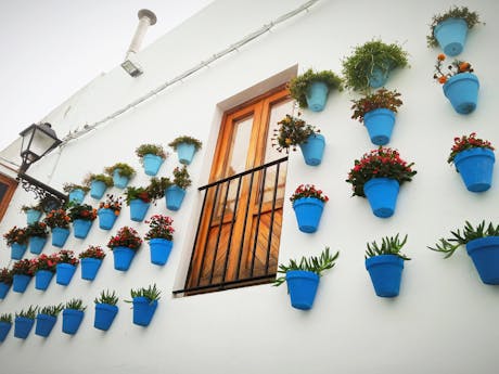 Andalusie - Spanje - bloempotten aan muur