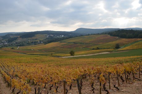 Frankrijk Bourgogne