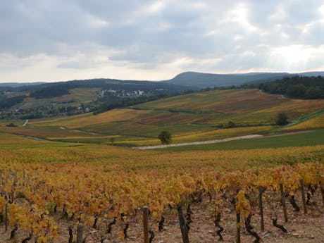 Frankrijk Bourgogne