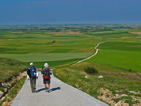 Camino Frances van Burgos naar Leon wandelen