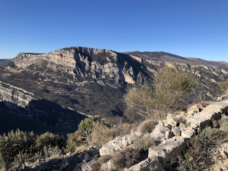 De heuvels boven Cannes Frankrijk