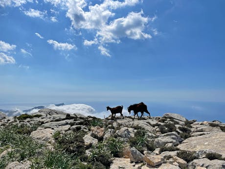 Wandelvakantie Mallorca