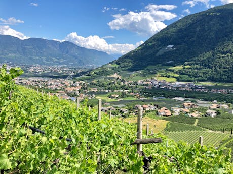 Wandelvakantie Alpenoversteek