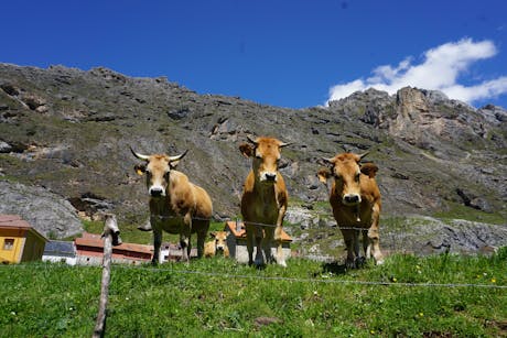 wandelvakantie Asturië