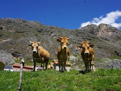 wandelvakantie Asturië