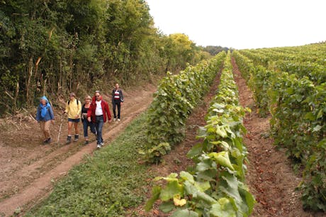 wandelvakantie hart van champagne