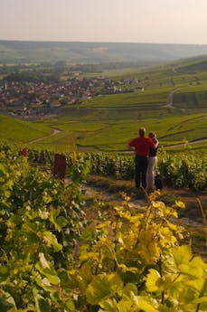 wandelvakantie hart van champagne