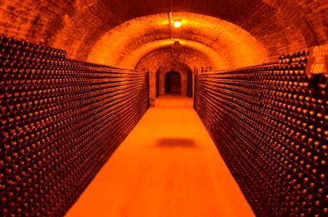 wandelvakantie hart van champagne